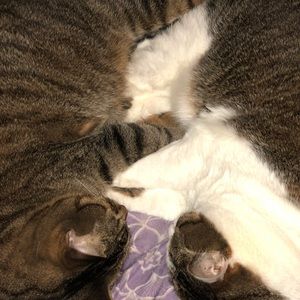 Meet your Posher, Heather